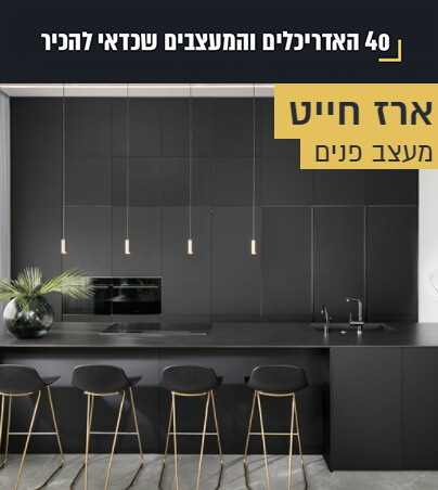 ארז חייט מן העיתונות